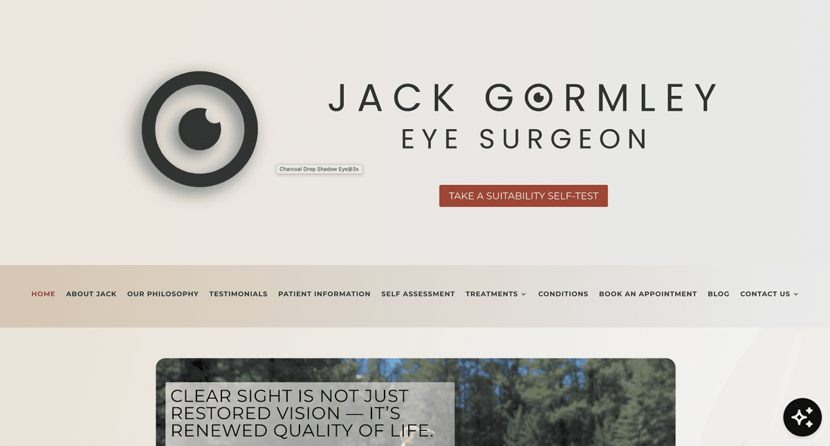 Mr. Jack Gormley website preview
